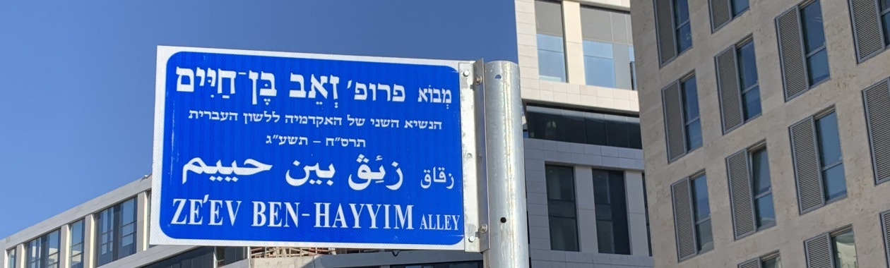ZE'EV BEN-HAYYIM ALLEY